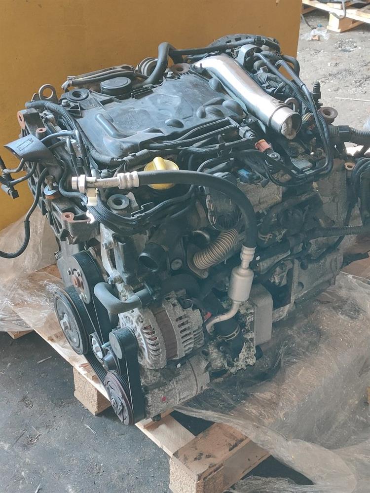 Двигатель Ниссан Х-Трейл в Можайске 50287